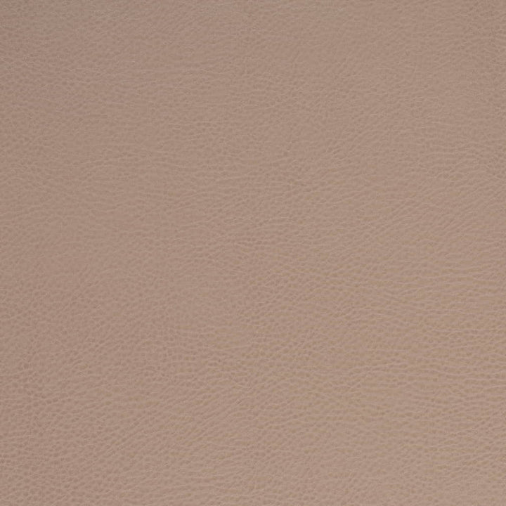 V875 Clay by Charlotte Fabric Leather Looks 100% Polyurethane Asia Exceeds 100,000 Wyzenbeek Rubs (Heavy Duty) No Repeat 54 Inches - Fabric Carolina -
