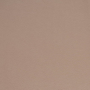 Charlotte Fabric V875 Clay