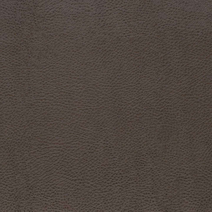 V876 Graphite by Charlotte Fabric Leather Looks 100% Polyurethane Asia Exceeds 100,000 Wyzenbeek Rubs (Heavy Duty) No Repeat 54 Inches - Fabric Carolina -