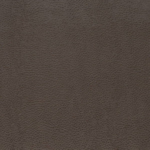 Charlotte Fabric V876 Graphite