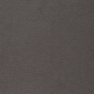 Charlotte Fabric V877 Lead