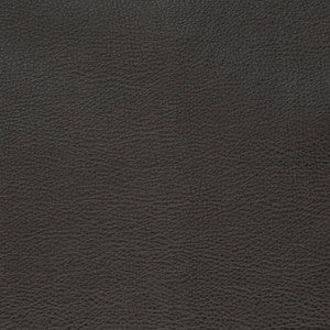 Charlotte Fabric V879 Ebony