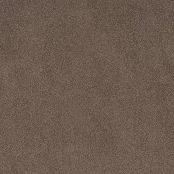 V881 Coffee by Charlotte Fabric Leather Looks 75% Polyester, 25% Polyurethane Asia Exceeds 100,000 Wyzenbeek Rubs (Heavy Duty) No Repeat 54 Inches - Fabric Carolina -