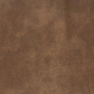 Charlotte Fabric V888 Pueblo
