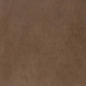 Charlotte Fabric V889 Beaver