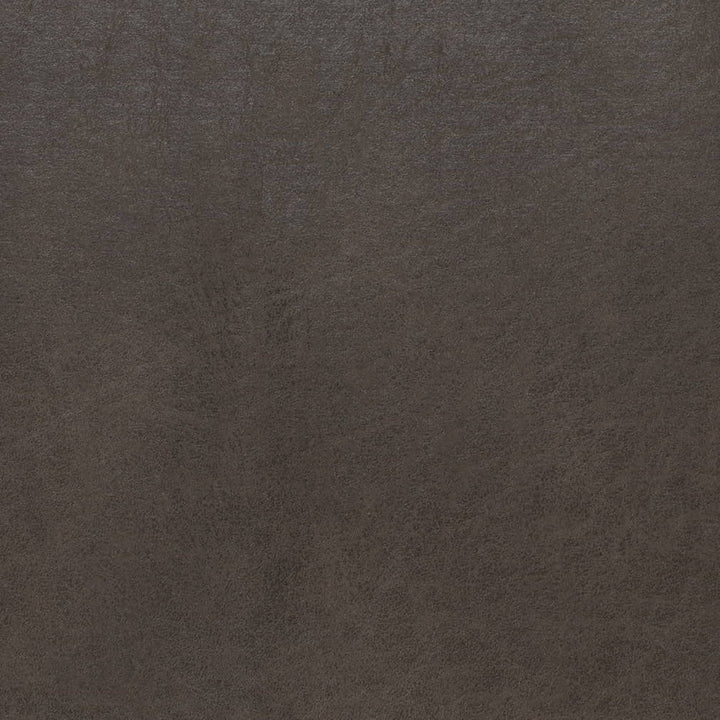 V895 Steel by Charlotte Fabric Leather Looks 79% Polyester, 21% Polyurethane Asia Exceeds 100,000 Wyzenbeek Rubs (Heavy Duty) No Repeat 54 Inches - Fabric Carolina -