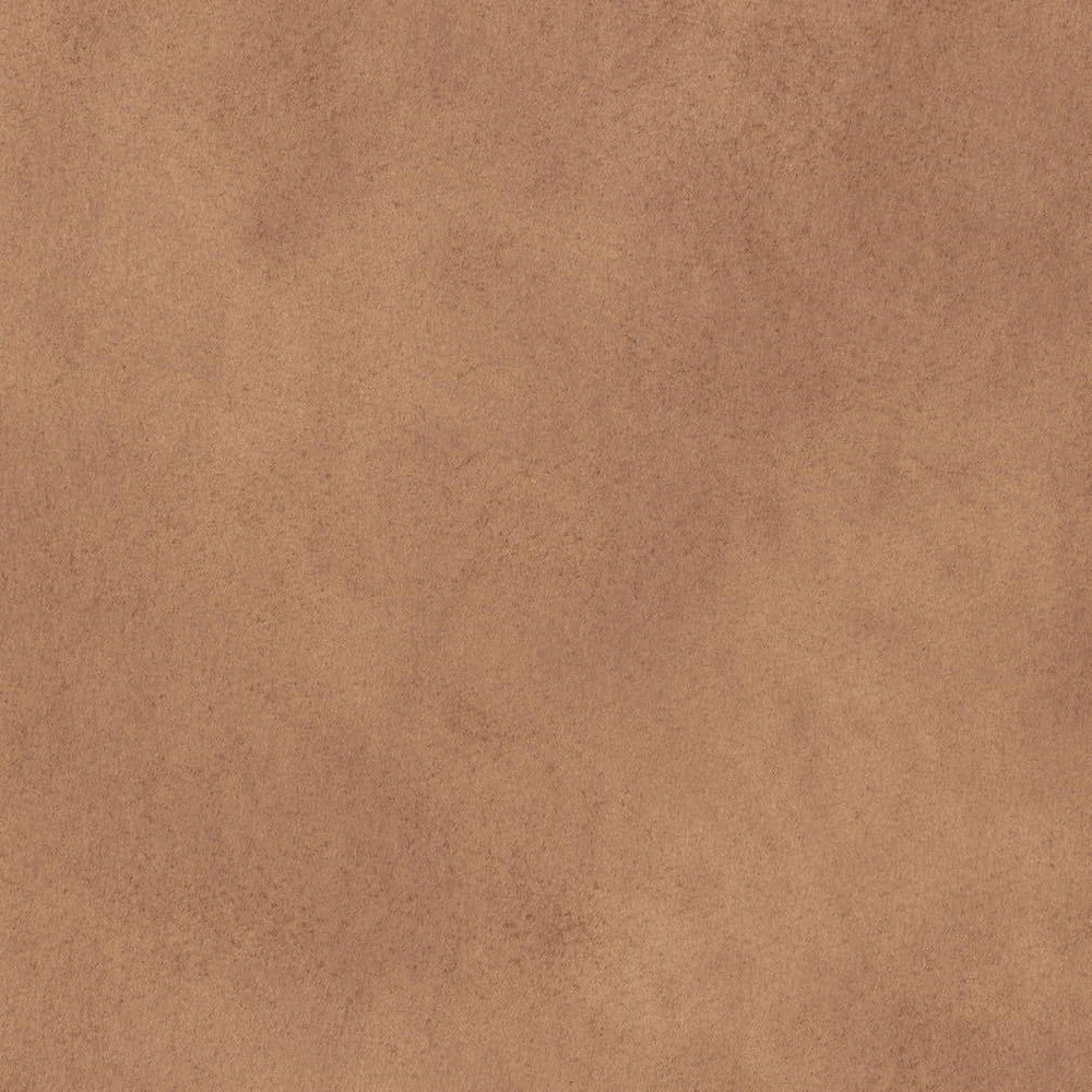 V896 Desert by Charlotte Fabric Leather Looks 100% Polyester Asia Exceeds 100,000 Wyzenbeek Rubs (Heavy Duty) No Repeat 54 Inches - Fabric Carolina -