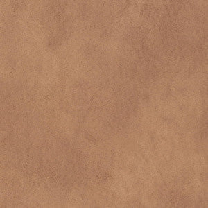 Charlotte Fabric V896 Desert