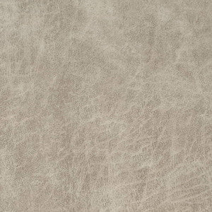 Charlotte Fabric V901 Bone