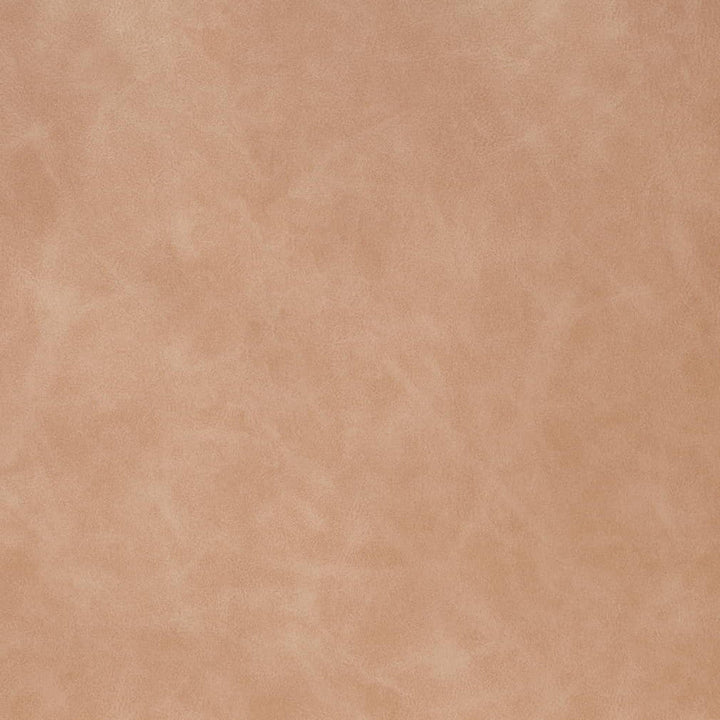 V906 Dune by Charlotte Fabric Leather Looks 100% Polyurethane Asia Exceeds 100,000 Wyzenbeek Rubs (Heavy Duty) No Repeat 54 Inches - Fabric Carolina -