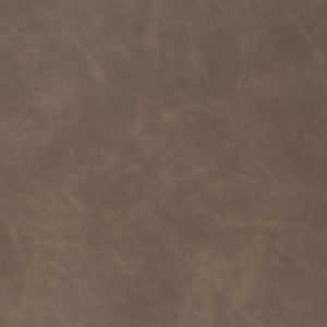 Charlotte Fabric V908 Earth