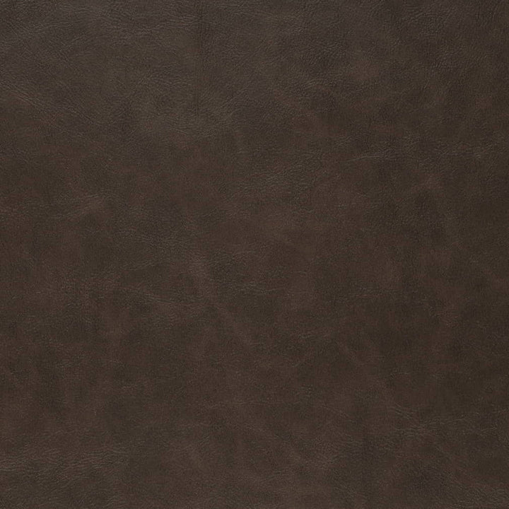 V909 Cocoa by Charlotte Fabric Leather Looks 100% Polyurethane Asia Exceeds 100,000 Wyzenbeek Rubs (Heavy Duty) No Repeat 54 Inches - Fabric Carolina -
