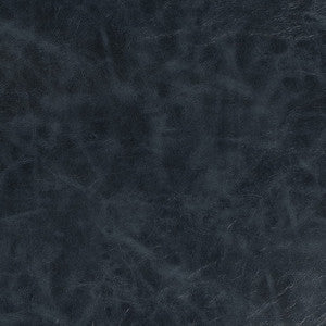 Charlotte Fabric V913 Ink