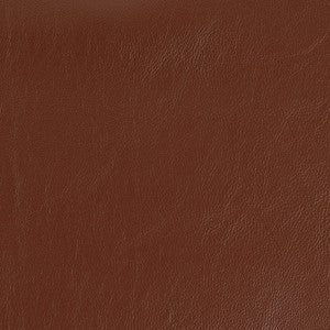 Charlotte Fabric V920 Umber
