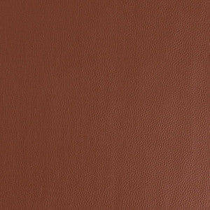 Charlotte Fabric V923 Tawny