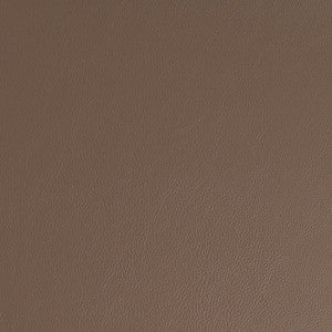 Charlotte Fabric V935 Clay