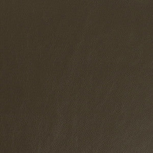 Charlotte Fabric V939 Olive