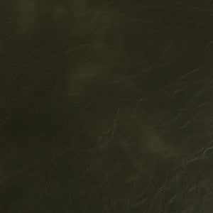 Charlotte Fabric V940 Spruce