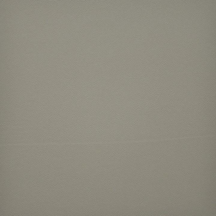 Vesper # 202 Aniseed by Maxwell Designer Fabric Easy Rider Vi 100% PVC TAIWAN 54" - Swanky Fabrics -