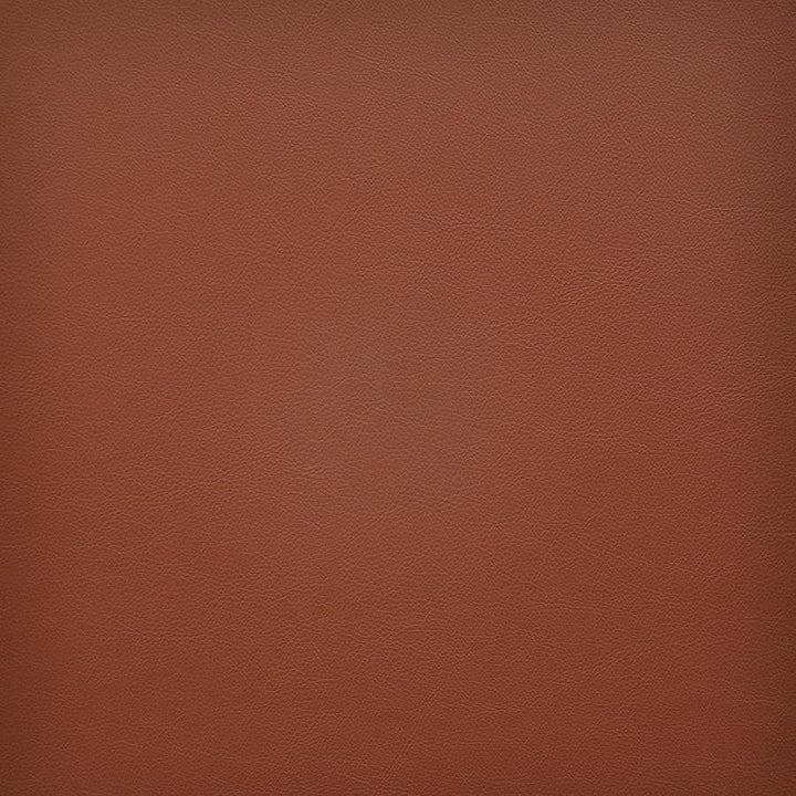 Vesper # 235 Cayenne by Maxwell Designer Fabric Easy Rider Vi 100% PVC TAIWAN 54" - Swanky Fabrics -