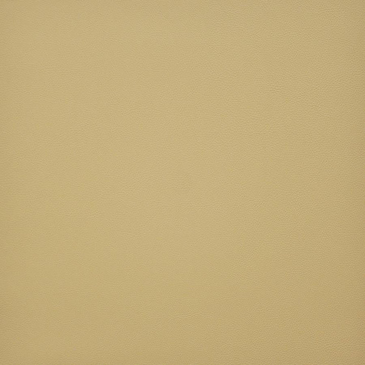Vesper # 238 Cashew by Maxwell Designer Fabric Easy Rider Vi 100% PVC TAIWAN 54" - Swanky Fabrics -