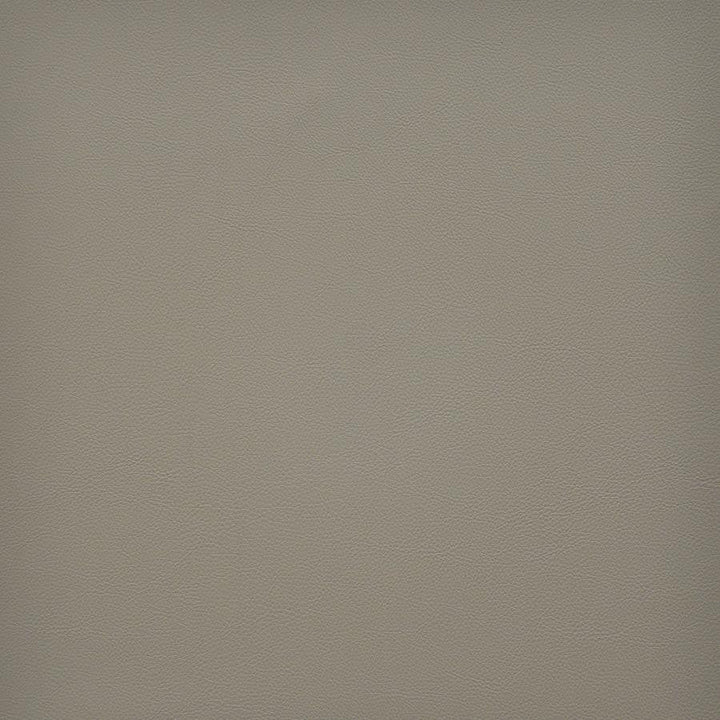 Vesper # 240 Papyrus by Maxwell Designer Fabric Easy Rider Vi 100% PVC TAIWAN 54" - Swanky Fabrics -