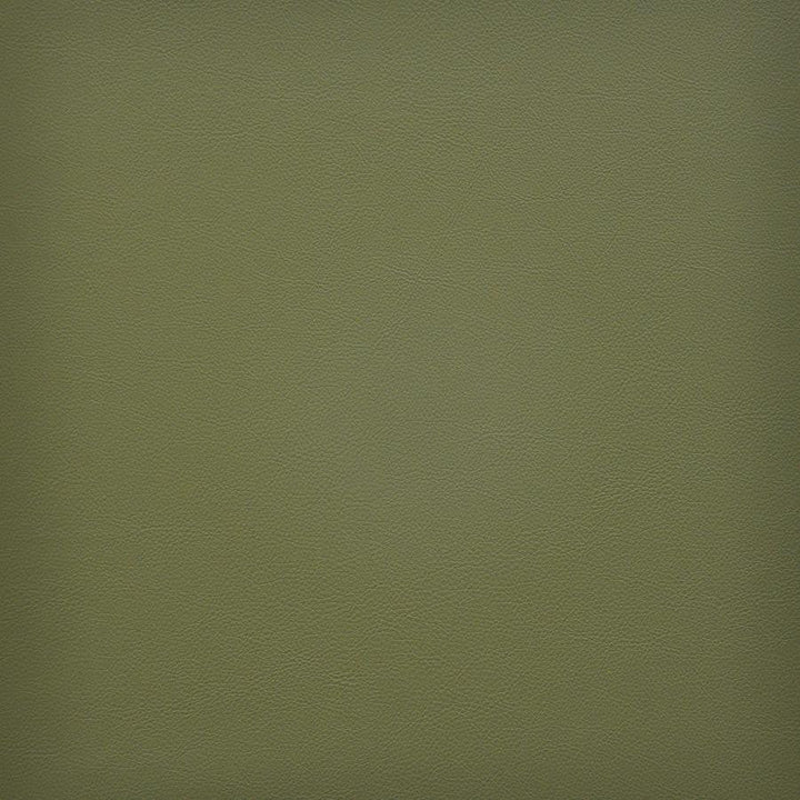 Vesper # 245 Picholine by Maxwell Designer Fabric Easy Rider Vi 100% PVC TAIWAN 54" - Swanky Fabrics -
