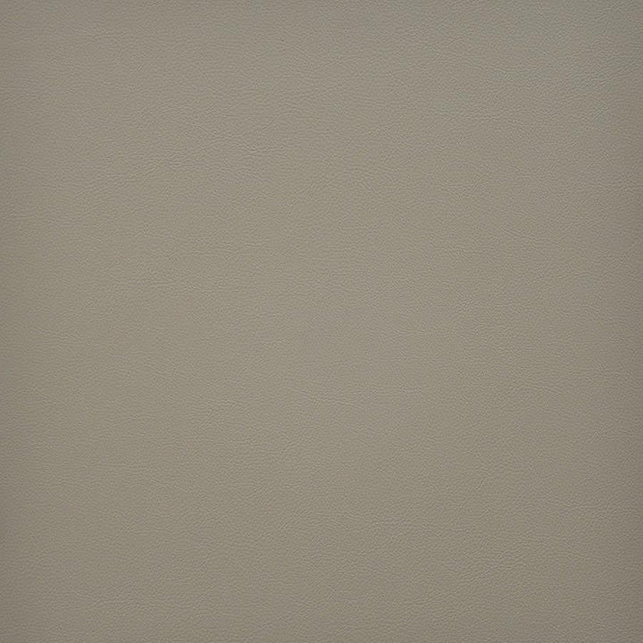 Vesper # 247 Porcini by Maxwell Designer Fabric Easy Rider Vi 100% PVC TAIWAN 54" - Swanky Fabrics -
