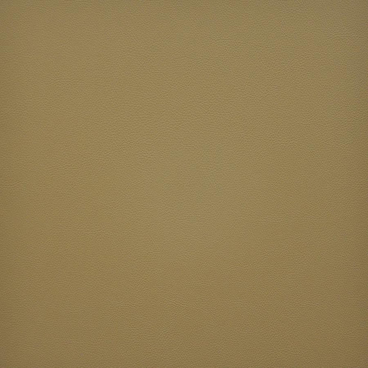 Vesper # 259 Flan by Maxwell Designer Fabric Easy Rider Vi 100% PVC TAIWAN 54" - Swanky Fabrics -