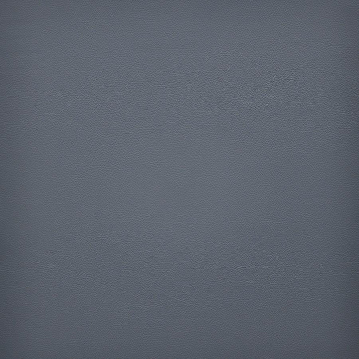 Vesper # 270 Comet by Maxwell Designer Fabric Easy Rider Vi 100% PVC TAIWAN 54" - Swanky Fabrics -