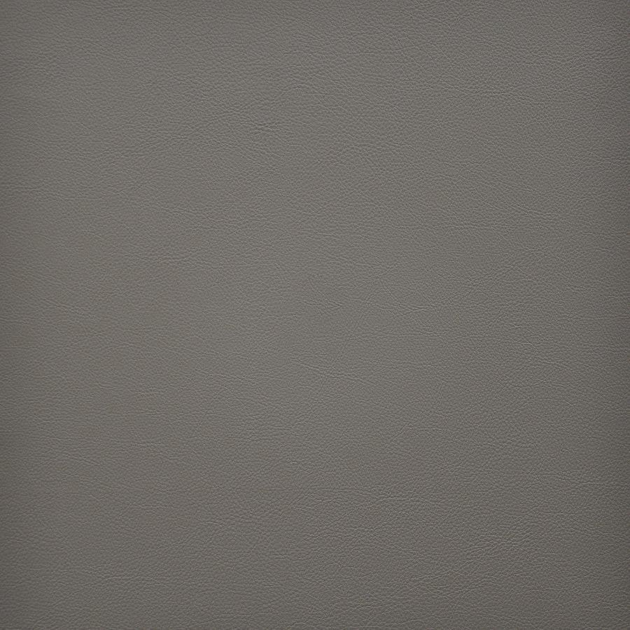 Vesper # 271 Sandstone by Maxwell Designer Fabric Easy Rider Vi 100% PVC TAIWAN 54" - Swanky Fabrics -