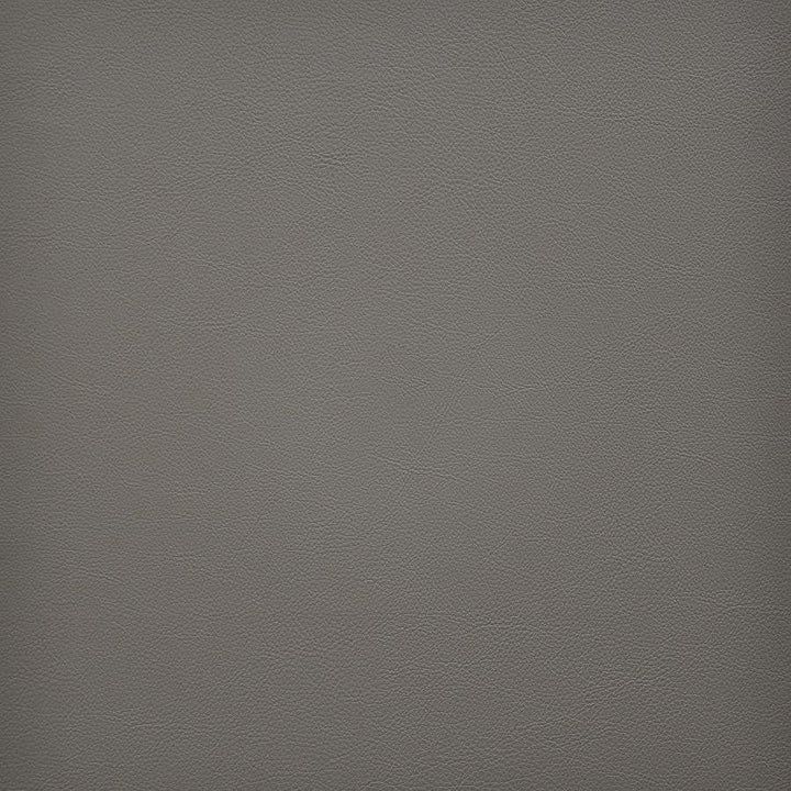 Vesper # 271 Sandstone by Maxwell Designer Fabric Easy Rider Vi 100% PVC TAIWAN 54" - Swanky Fabrics -