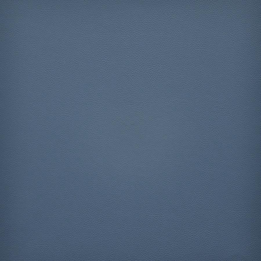 Vesper # 279 Lake by Maxwell Designer Fabric Easy Rider Vi 100% PVC TAIWAN 54" - Swanky Fabrics -
