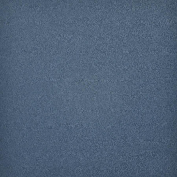 Vesper # 279 Lake by Maxwell Designer Fabric Easy Rider Vi 100% PVC TAIWAN 54" - Swanky Fabrics -