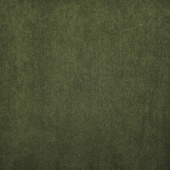 Vera # 716 Moss by Maxwell Designer Fabric Performance Wovens-Vol. V Paintbrush 100% POLYESTER INDIA 57" - Swanky Fabrics -