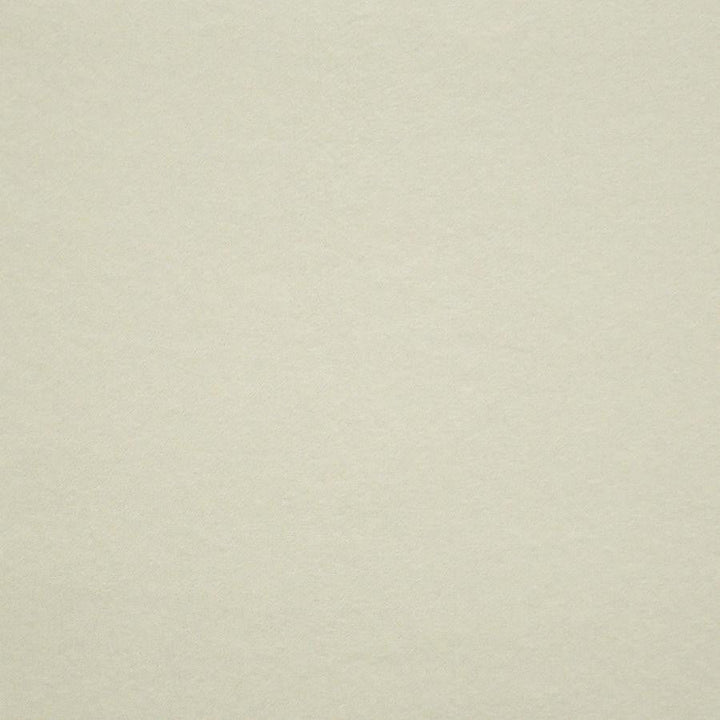 Vera # 924 Creme by Maxwell Designer Fabric Performance Wovens-Vol. V Silver Sun 100% POLYESTER INDIA 57" - Swanky Fabrics -