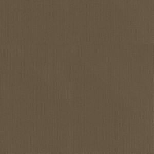 Vail Sable by Norbar Designer Fabric VAIL 100% COTTON INDIA 55 - Swanky Fabrics -