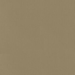 Vail Safari by Norbar Designer Fabric VAIL 100% COTTON INDIA 55 - Swanky Fabrics -