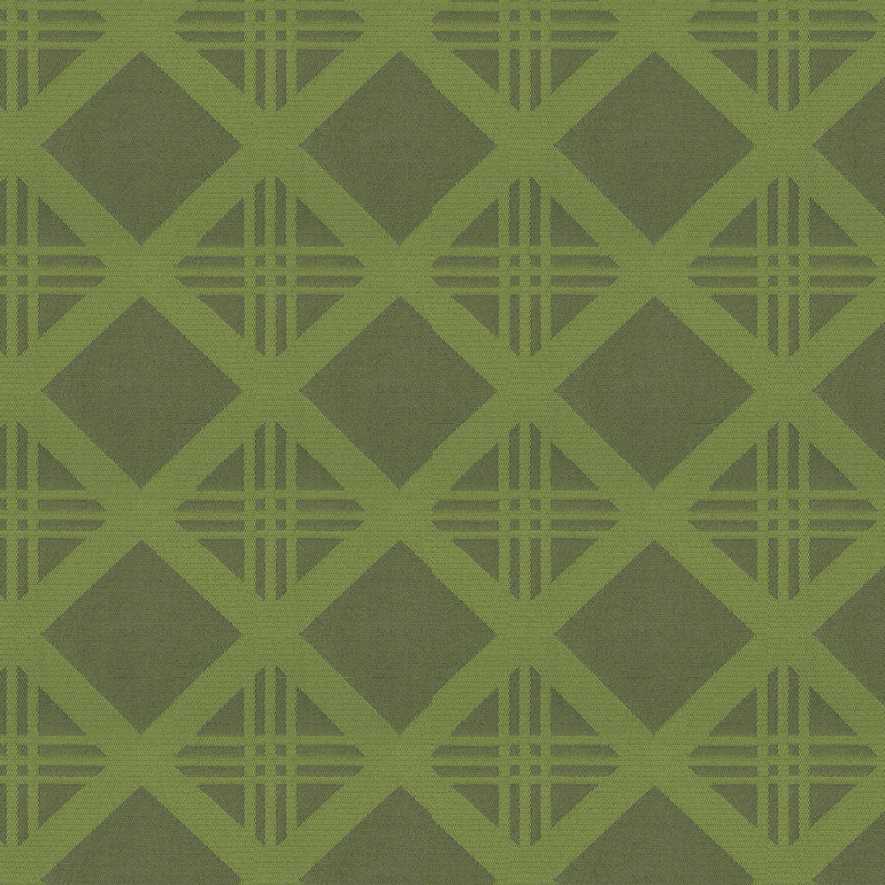 Bold 205 Lime by Endurepel Designer Fabric 100% Polyester China 160,000 Double Rubs (Wyzenbeek) </p><p>Repeat: Horizontal: 3.7" (9.3 cm) Up the Roll and Vertical: 3.9" (9.6 cm) Across the Roll 55" (140 cm) - Swanky Fabrics -