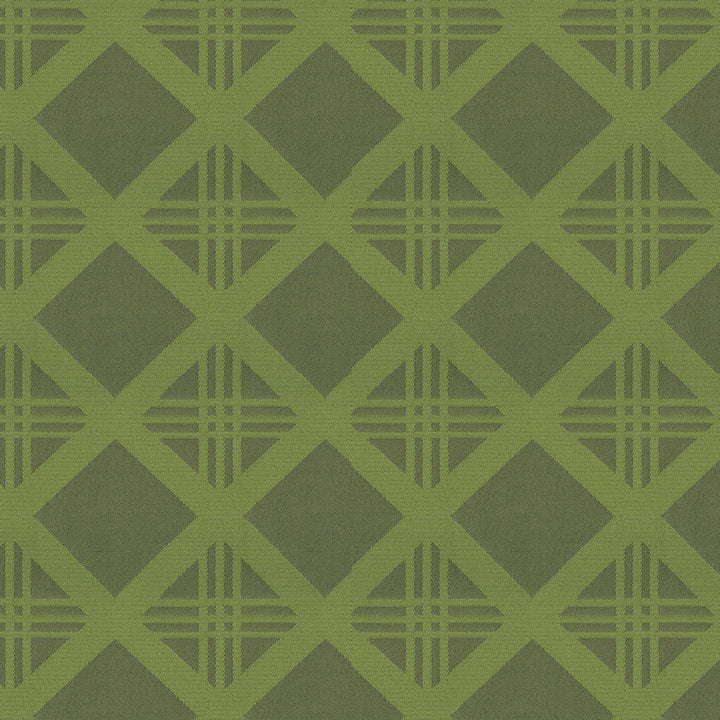 Bold 205 Lime by Endurepel Designer Fabric N/A 100% Polyester China 160,000 Double Rubs </p><p>Repeat: Horizontal: 3.9" (9.6 cm) Across the Roll and Vertical: 3.7" (9.3 cm) Up the Roll 55" (140 cm) - Swanky Fabrics -