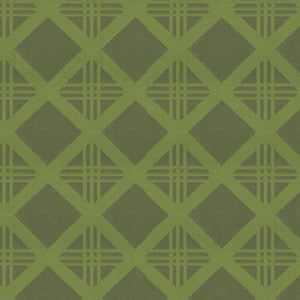 Endurepel Fabric Bold 205 Lime