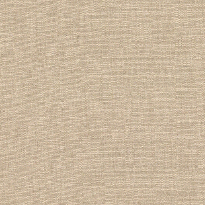 Vanessa 2 Oldgold by Stout Fabric Stout Fabric Vanessa 2 OldgoldFabric COLOR MY WINDOW PEWTER/TAUPE 100%POL INDIA </p><p>Repeat: H: 0.000, V: 0.000 54 in - Fabric Carolina -