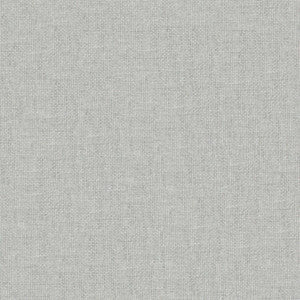 Maxwell Fabric Valentina # 107 Gainsboro