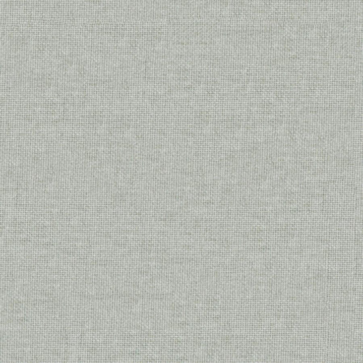 Valentina # 110 Mineral by Maxwell Designer Fabric Wide Width Basics Iii 100% RECYCLED POLYESTER INDIA 118" - Swanky Fabrics -