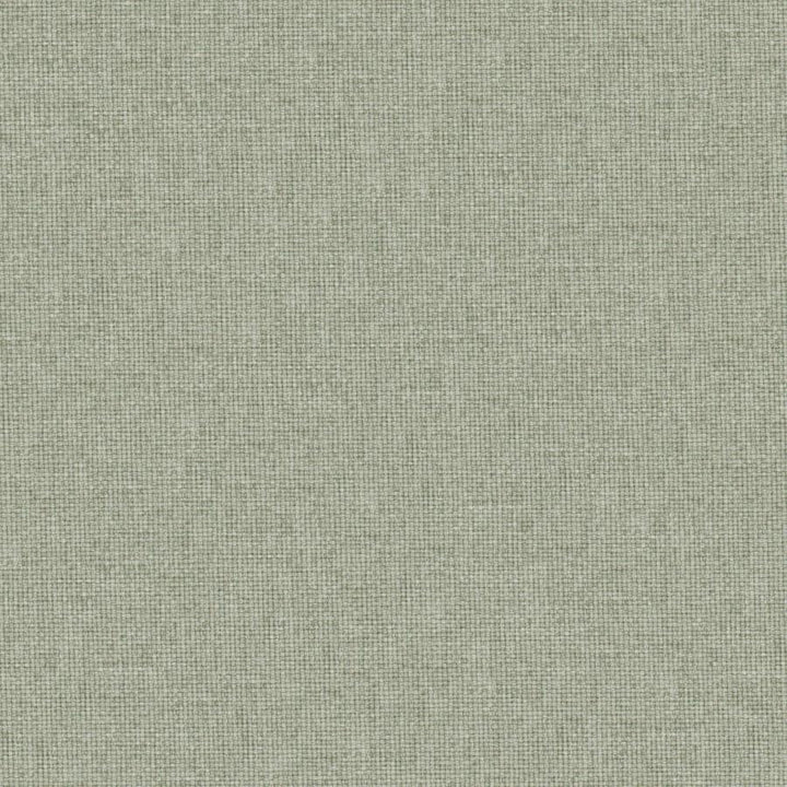 Valentina # 113 Seagrass by Maxwell Designer Fabric Wide Width Basics Iii 100% RECYCLED POLYESTER INDIA 118" - Swanky Fabrics -