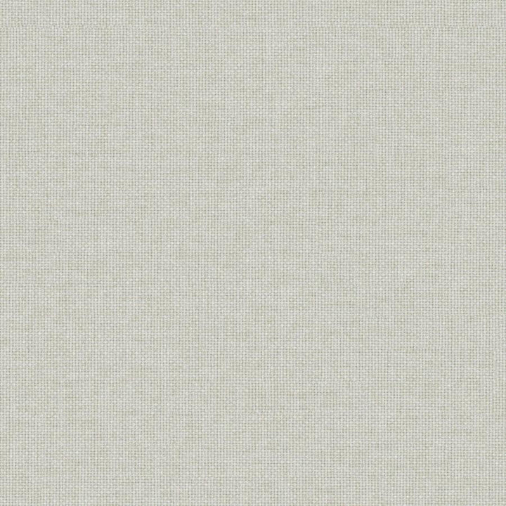 Valentina # 153 Fog by Maxwell Designer Fabric Wide Width Basics Iii 100% RECYCLED POLYESTER INDIA 118" - Swanky Fabrics -