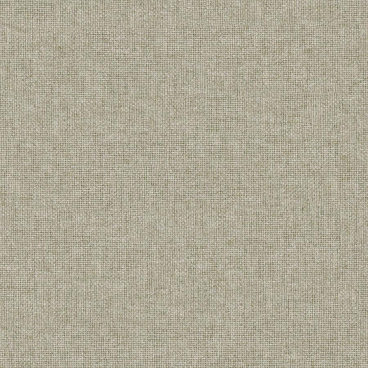 Valentina # 154 Funghi by Maxwell Designer Fabric Wide Width Basics Iii 100% RECYCLED POLYESTER INDIA 118" - Swanky Fabrics -