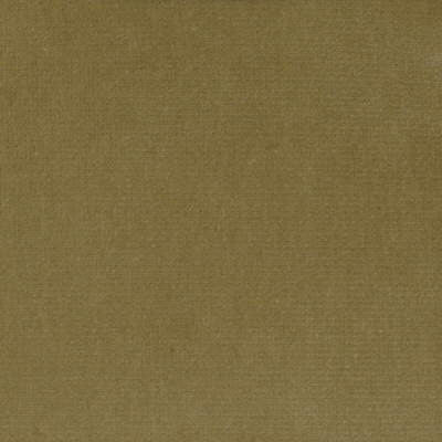 Versailles-E202130 by Kravet Design Designer Fabric - COTTON - 100% Netherlands HEAVY Horizontal: 0 and Vertical: 0 54 - Swanky Fabrics -