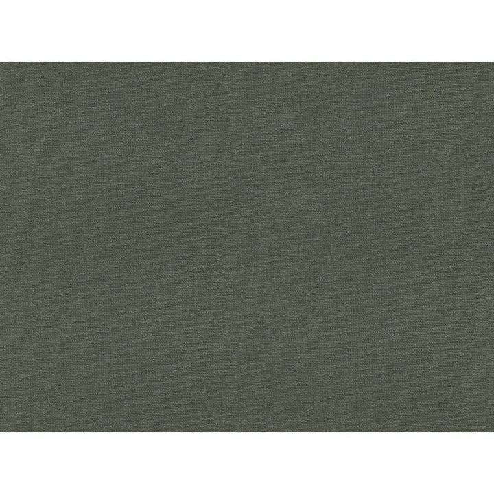 Versailles-E205100 by Kravet Design Designer Fabric - COTTON - 100% Netherlands HEAVY Horizontal: 0 and Vertical: 0 54 - Swanky Fabrics -