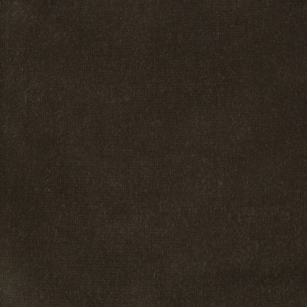 Versailles-E205370 by Kravet Design Designer Fabric COTTON - 100% Netherlands HEAVY Horizontal: 0 and Vertical: 0 54 - Swanky Fabrics -
